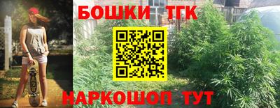 кокс Донской
