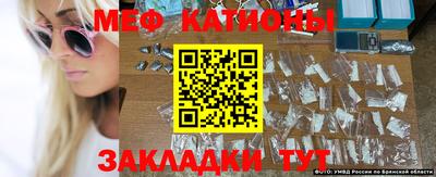 кокс Донской