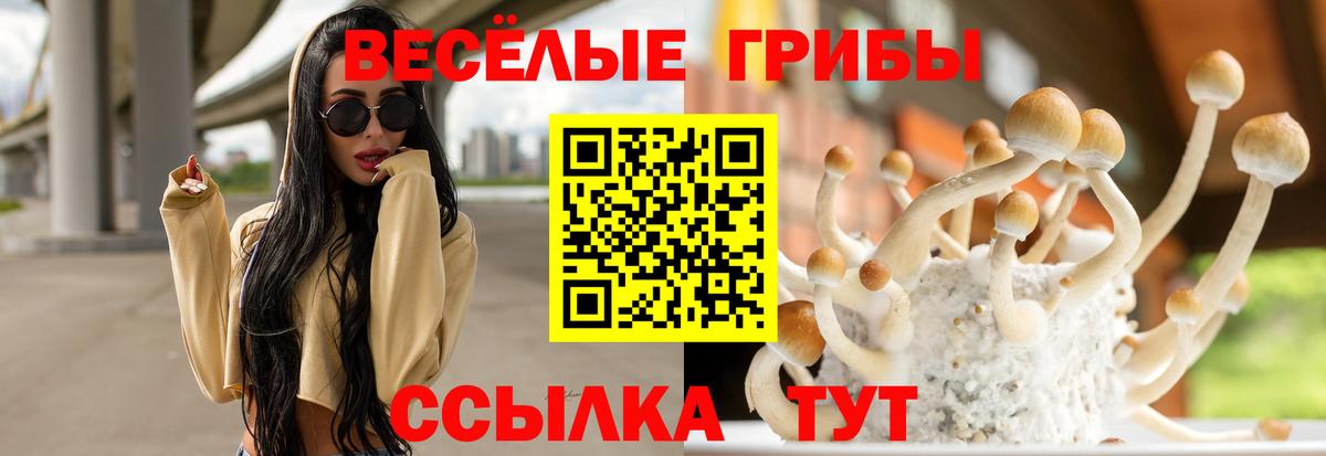 Галлюциногенные грибы мицелий  Вход с VPN  Великий Новгород 